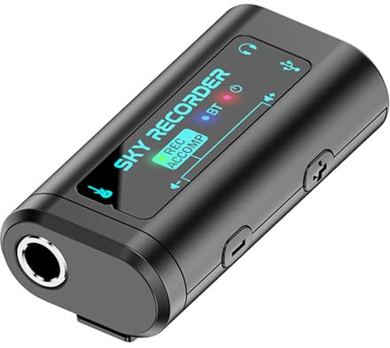 Voice Device Sound Device Musical Instrument Recorder Digital Voice with Transcription and Playback Musical Instrument