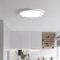 STHomedeco Plafon LED Techo - 37x2cm Plafones para Techo Led, 42W 6500K Lampara Led Techo Dormitorio Cocina Pasillo Baño Sala (37cm)