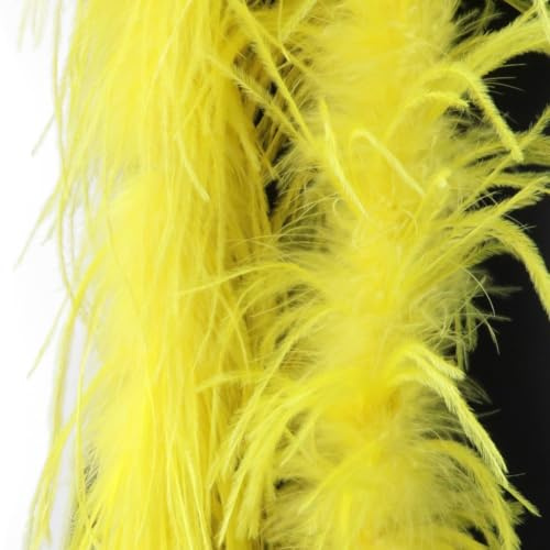 CNANRNANC Boa en plumes d'autruche 2 m Châle de luxe pour déguisement et accessoires de mariage – Écharpe douce en plume rouge