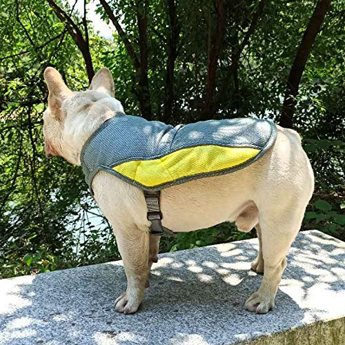 Hifrenchies Kühlweste für Hunde, Französische Bulldogge, Sommer-Kühlweste, Outdoor-Hundejacke, Sicherheits-Reflektorweste, Kühljacke, sonnenfest, Haustierweste für Frenchie (XXL)