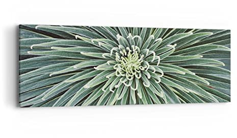 ARTTOR Bilder auf Leinwand 90x30cm Wandbild Botanik Blumen - 4905 | Agave Grün Pflanze Panorama Klein Wanddekoration Wohnzimmer Schlafzimmer Wanddeko Wand Kunstdruck Wandkunst Wall Decor ARTTOR