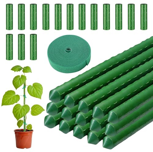 LINSOCLE 30 x växtstavar, växtstöd, växtstav med 20 kontakter och 1 växtbindemedel för att stödja grönsaker och blommor – längd 40 cm Ø 11 mm