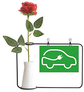 Beauty Gift Línea de enchufe vehículos de energía proteger el medio ambiente rosa artificial flor colgante jarrones decoración botella