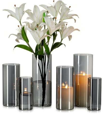 Glasseam grå stor glasvas: 6 st moderna cylindervaser för blommor vardagsrum bordsdekorationer mittpunkt – orkanvaser för dekor rosor tulpan pampas dekorativa ljushållare (15/20/25 cm)