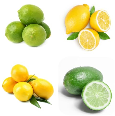 semillas de limonero, resistentes para el jardín, limonero exóticas del zapote, resistentes 60pcs