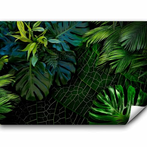 murando - Fototapete Premium-Vlies tropische Blätter Monstera, 350x256 cm | Premium-Vliesstoff, Full HD Druck, hochwertige Verarbeitung fürs Wohnzimmer, schnelle Montage, lichtbeständig, geruchsfrei