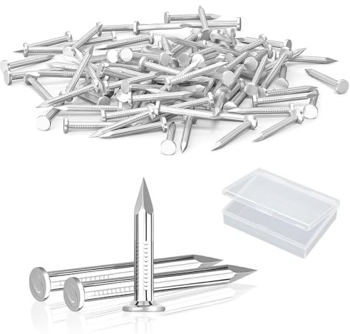 200 Stück Nägel 20mm Stahlnägel Beton, verzinkte Beton nägel Nägel für Heimwerker, Bilder an der Wand aufhängen, Handwerk oder Bau und Außenbereich, mit 1 Aufbewahrungsbox