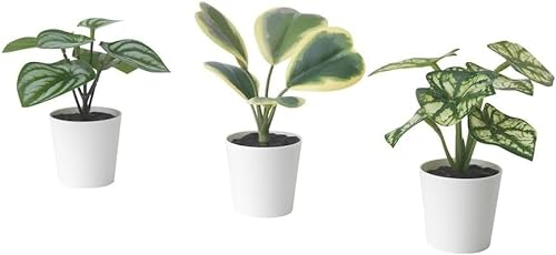 Artifi potted plant w pot, set of 3, in/outdoor begonia, 6 cm (2)