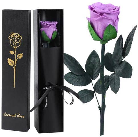 FRFG Vera Rosa Eterna Regalo Donna, Stabilizzata Vera Rosa con Steli Idee Regalo per Anniversario, Mamma, Donna Compleanno, San Valentino per Donne (Lavanda Viola)