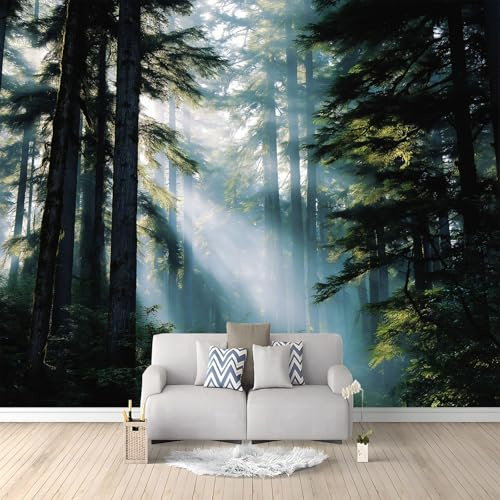 Fotomurales Bosque Puesta De Sol Naturaleza 250x175 cm Papel Tapiz Fotográfico no tejido 3D Moderna Fondo De Pantalla Mural Decoración De Pared Sala Cuarto Oficina Salón