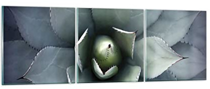 Moderno Quadro su Vetro 90x30 cm Stampe da Parete Botanica Fiori - 5133