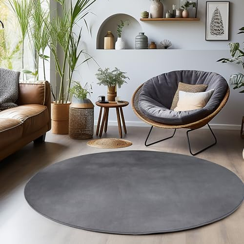 Einfarbiger Teppich Rund Wohnizmmer, Esszimmer, Schlafzimmer, Küchenteppich Waschbar Runder Teppich Grau Flauschig Kurzflor Carpet, Größe: 160 cm Rund