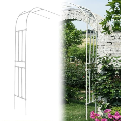 MISKYN Arche De Jardin Demi Rond, Demi-Arche en Métal, Arceau Jardin Arche A Rosiers De Style Fer Forgé, Tonnelle De Jardin Robuste, pour Plantes Grimpante,Blanc,120 * 240cm
