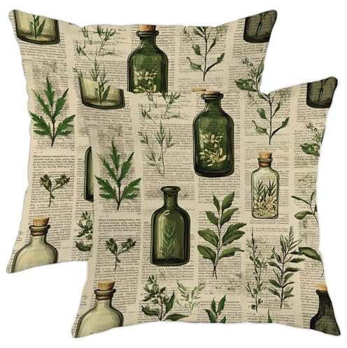 Juego de 2 fundas de cojín con estampado botánico vintage verde de hierbas, fundas de cojín cuadradas decorativas para el hogar, sala de estar, sofá, 16 x 16 pulgadas