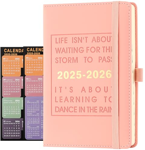 Daily Planner 2025-2026,Academic Diary Day per Page,from Jul 2025 to Jun 2026,Best Agenda & Daily Calendar to Boost Productivity & Gratitude Journal Personal Daily Organizer - 14.5x21.5cm (Pink)