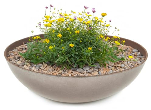 matches21 - Ciotola decorativa per esterni, effetto ruggine, colore: grigio scuro come vaso da fiori, ciotola alta da 37 cm, per giardino, balcone o cimitero, come gioiello per tomba