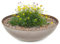 matches21 Pflanzschale für draußen - Dekoschale in Rost-Optik dunkel-grau als Blumentopf Pflanztopf - hohe Schale in 37 cm für Garten, Balkon oder Friedhof als Grab-Schmuck