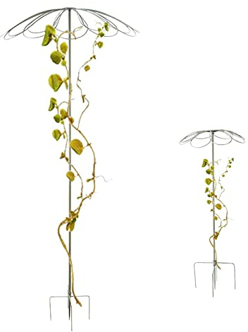 Treillis d'obélisque de Jardin en Fer forgé, Support pour Plantes grimpantes et Fleurs, 2 pièces, Artisanat Vieilli, pour Pots de Fleurs et parterres de Fleurs décoratifs intérieurs/extérieu