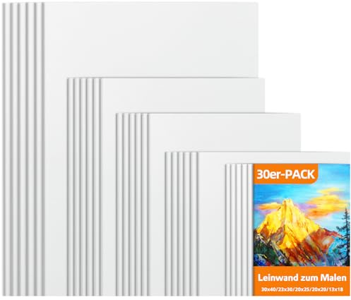 RITOLLO 30 Stück Leinwand zum Bemalen Set - 30x40, 23x30, 20x25, 20x20, 13x18 cm, säurefreie grundierte Baumwoll-Leinwände, für Acryl, Öl, Aquarell, ideal für Kunst & Bastelarbeiten
