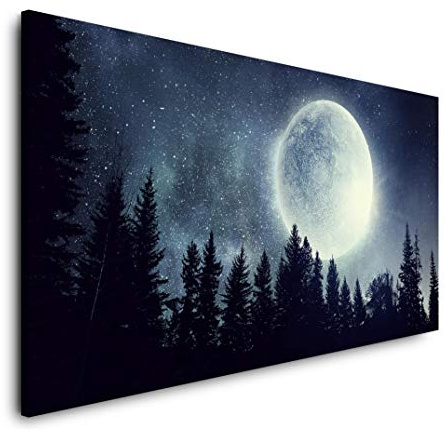 Vollmond im Wald 120x 60cm Panorama Leinwand Bild XXL Format Wandbilder Wohnzimmer Wohnung Deko Kunstdrucke
