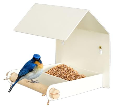 Mangeoire pour oiseaux pour l'extérieur | Boîte de nourriture imperméable pour le jardin | Mangeoire pour oiseaux sauvages | Pour jardin, balcon, terrasse, arbre de fenêtre et pour observation