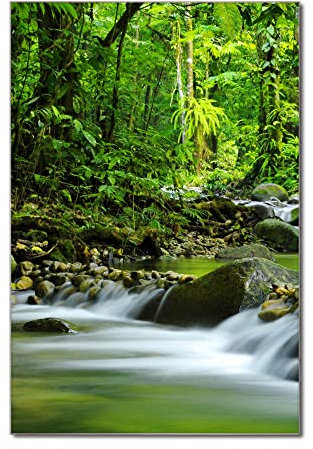 banjado Glas Magnettafel (40 x 60cm) - Magnetwand Glas - Magnetpinnwand als Memoboard - Pinnwand Magnettafel Küche, Büro, Kinderzimmer - Rauschender Bach