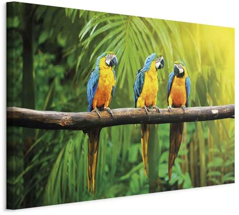 murando - Akustikbild Schalldämmung Vogel, Schallschutz, Wohnzimmer, Büro