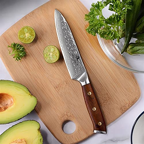 5Inch Utility-Fruchtmesser Vg10. Damaskus Stahl Chef Paring Messer Eisen Holz Griff Schneiden Gemüse Peeling Messer Küchenmesser (Color : HP-D1009, Kitchen Knife Size : 5 inch)