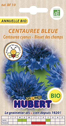 Graines de Centaurée Bleue bleuet des champs BIO - 2 grammes