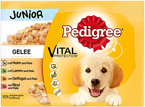 Pedigree Hundefutter Nassfutter Junior für Welpen Auswahl in Gelee, 12 Portionsbeutel (12 x 100g)