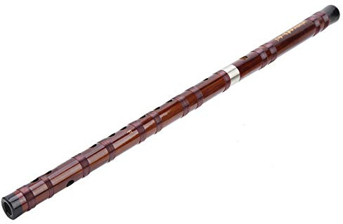 Bambusflöte Dizi, professionelles tragbares chinesisches Universal-Musikinstrument für professionelle populäre Lieder(Key F)