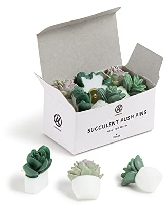 U Brands Succulent Push Pins Set, Office Supplies, Three Assorted Styles, 9 Count