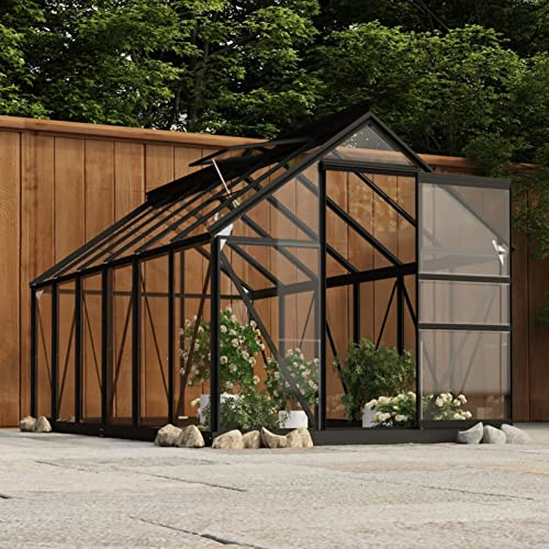 LAPOOH Serre en Verre Anthracite 155x298x191 cm Aluminium,Carport Abri Voiture,Serre Tunnel