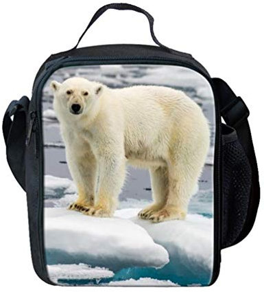 Showudesigns Lightweight Animal Lunch Bag Heating Gym Yoga Food Storage Bag Small Lunchbox Polar Bear