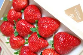 Fraises japonaises chères Sembikiya Queen: 10 graines fraîches à planter