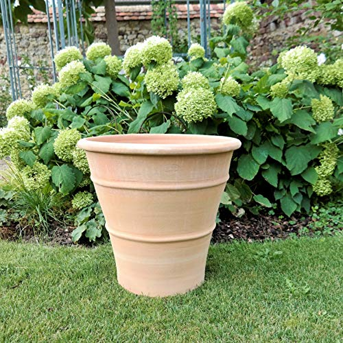 Céramique de Crète | Jardinière en terre cuite faite à la main en Crète haute qualité et antigel | Terrasse balcon jardin | Différentes tailles (50 cm) de yucca