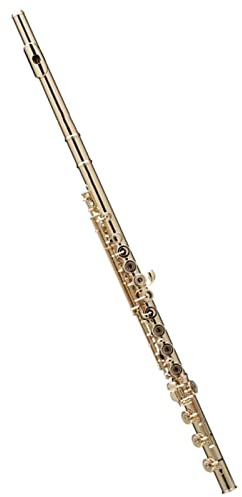Flöte Versilberung 17 Löcher C Flöten Schlüssel Holzblasinstrument Mit Polsterung Querflöte Anfänger (Color : Gold)