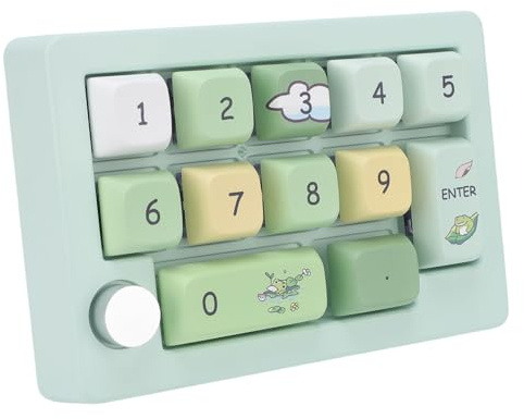 Bewinner Wired USB Numeric -Tastatur, EIN Handmakro -mechanische Tastatur, 12 RGB LED Hintergrundbeleuchtung, 12 Taste Multifunktions DIY Programmier für Office Gaming (Green)