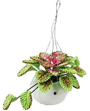 Melody Jane Dolls House Caladium Plant in White Hanging Basket Home or Garden Accessory