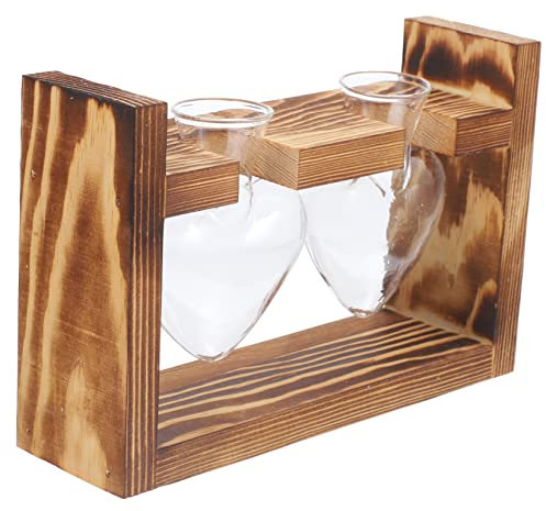 MERRYHAPY Transparentes Glas Pflanzenterrarium Für Innenbereich Mit Holzständer Tischpflanzgefäß Hydrokulturvase Für Zimmerpflanzen Wasservase Für Wohnzimmer Oder Büro