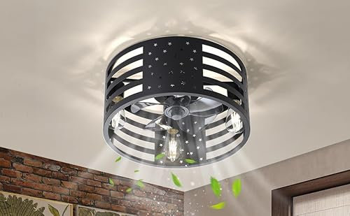 Industrial Caged Ceiling Fan with Lights and Remote Control Vintage Style Fan Light with 6 Speeds and Timer for Living Room Kitchen Bedroom and Farmhouse (Black 19)