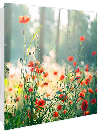 banjado Großer Schlüsselkasten Glas - Schlüsselbox 30x30cm mit 50 Haken - Schlüsselkasten modern für Schlüsselaufbewahrung mit beschreibbarer, magnetischer Glastür - Motiv Waldmohn
