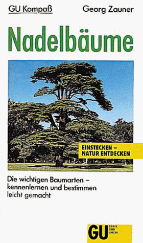 Nadelbäume