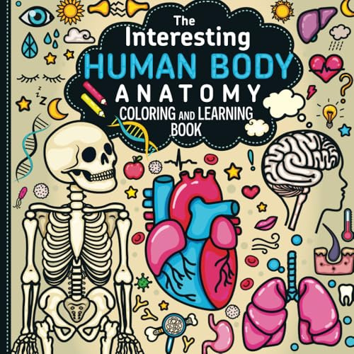 The Interesting Human Body Anatomy Coloring and Learning Book