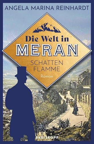 Die Welt in Meran - Schattenflamme: Historischer Roman (Die Meran-Saga)