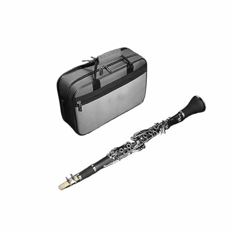 Anfänger klarinette Holz Ebenholz Bakelit 17key Bb KEY Klarinette Musik