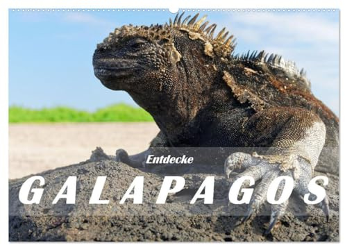 Entdecke Galapagos (Wandkalender 2026 DIN A2 quer), CALVENDO Monatskalender: Die Einzigartigkeit von Galapagos besteht in der Natur: Wilde ... eine eindrückliche Tierwelt. (CALVENDO Orte)