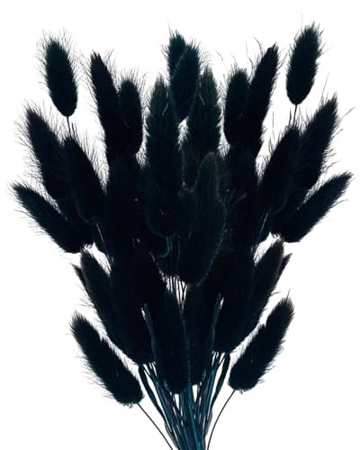 Vellivar Black Bunny Tails Pampas Grass Home Decor Dried Grasses for Vases Cake, 50pcs Rabbit Tails Bouquet Small Dried Flowers Table Decoration Room