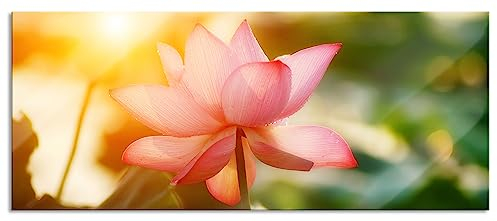 Pixxprint Glasbild Panorama, Wandbild aus Echtglas, Lotus im Abendlicht, 100x40 cm, inkl. Aufhängung und Abstandshalter