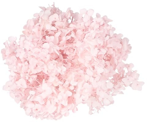 VICASKY 1 Confezione Ortensia Essiccati Naturali da Fiori Preservati per Decorazioni Diy Rosa per Matrimoni e Feste